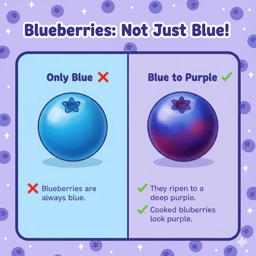 are blueberries blue or purple