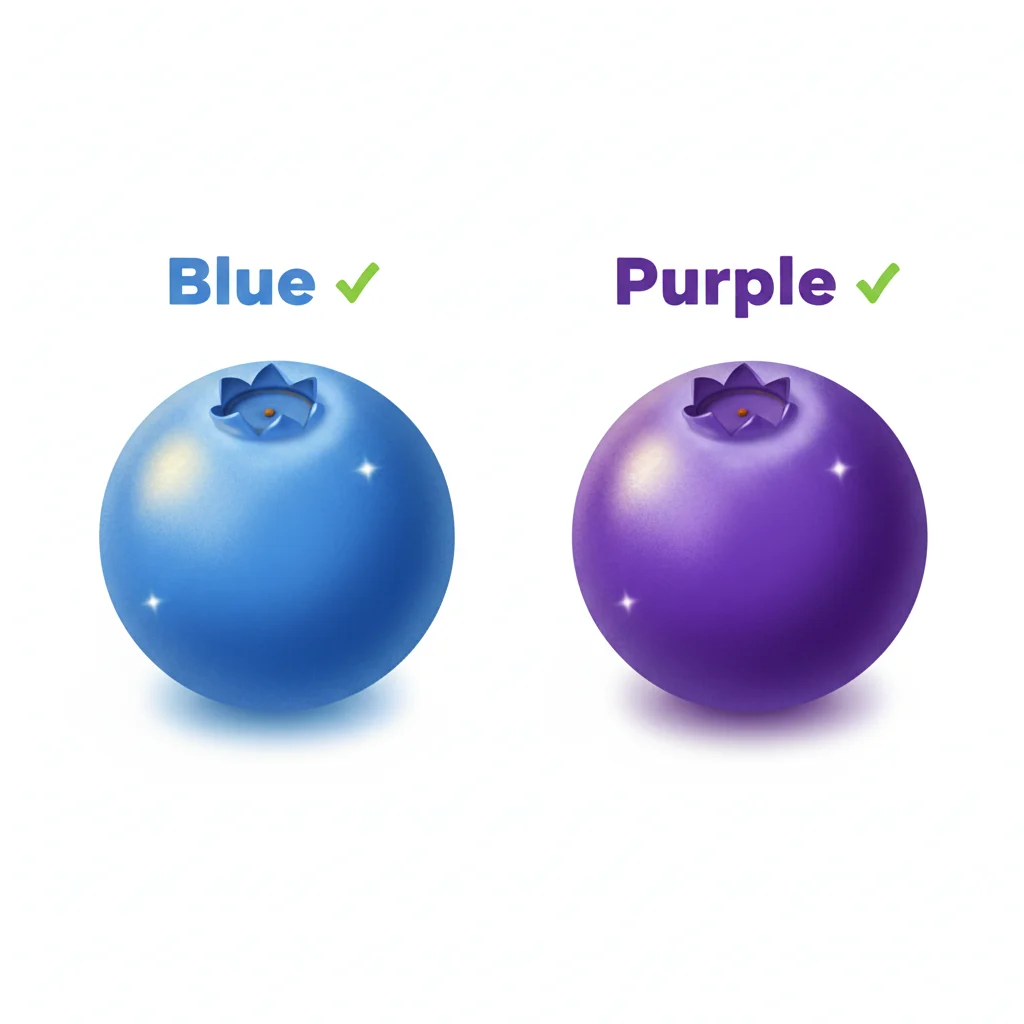  blueberries blue or purple